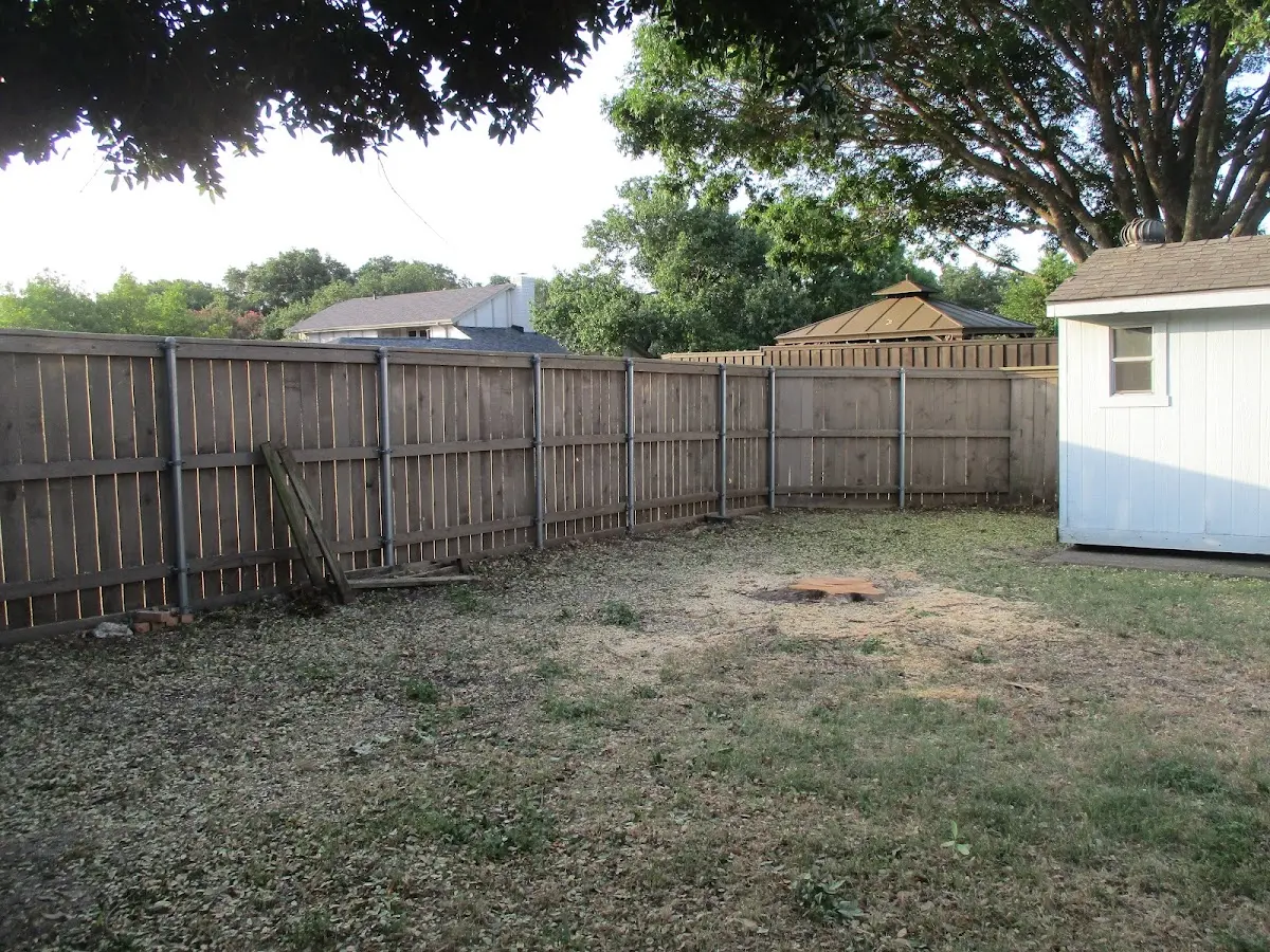 Cleared yard after professional tree removal in San Marcos
