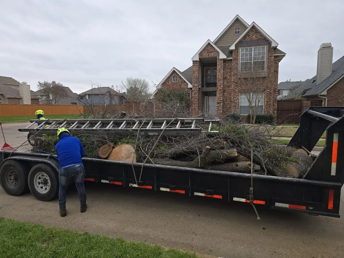 Expert Tree Pest Control with proper safety equipment in San Marcos